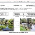 peche elect1
